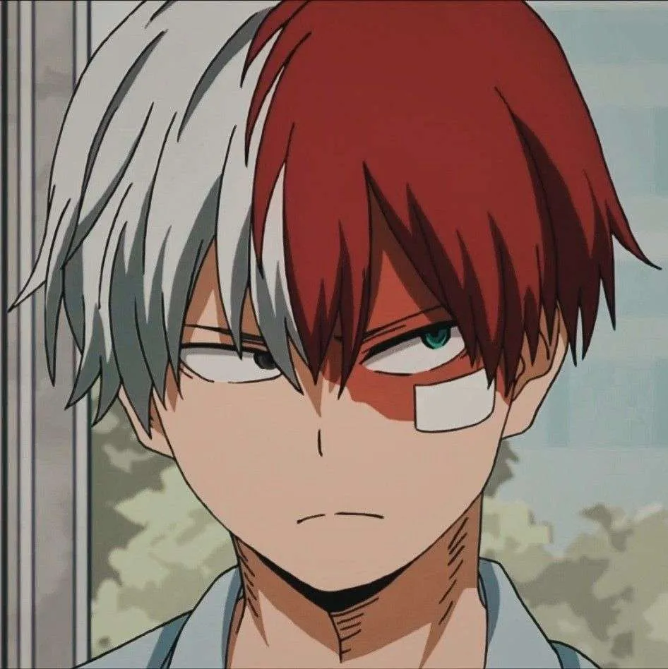 Todoroki